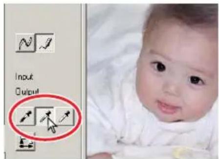 Input Output