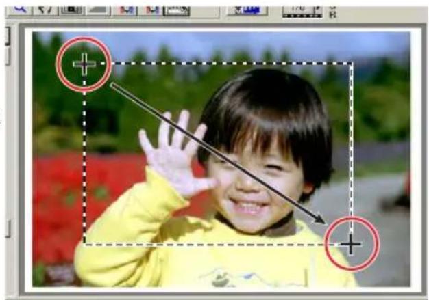 MINOLTA DiMAGE Scan Elite II - To define a new cropping frame... - 1
