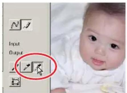 Input Output