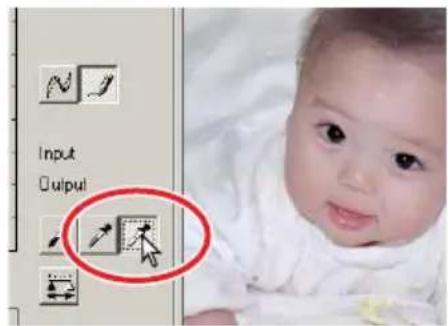 Input Output