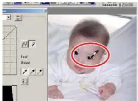 MINOLTA DiMAGE Scan Elite II - Click on the darkest neutral area of the image to define it as the black point. - 1