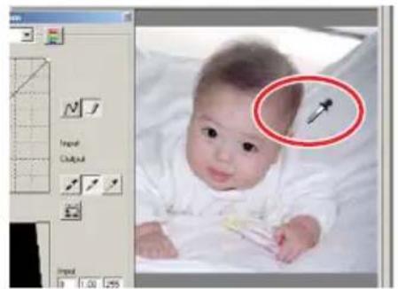 MINOLTA DiMAGE Scan Elite II - Click a neutral area of the image to be defined as the gray point. - 1