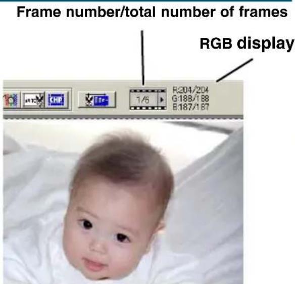 Frame number/total number of frames RGB display 1/6 R:204/204 G:188/188 B:187/187