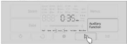 Steam 0:35 Sole Auxiliary Function