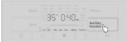 Steam 35° 0:40m Mens Mole Auxiliary Function