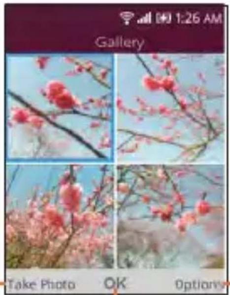 AT&T Cingular Flip 2 - Gallery - 2
