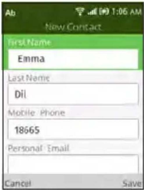 Ab New Contact first Name Emma Last Name Dil Mobile Phone 18665 Personal Email Cancel Save