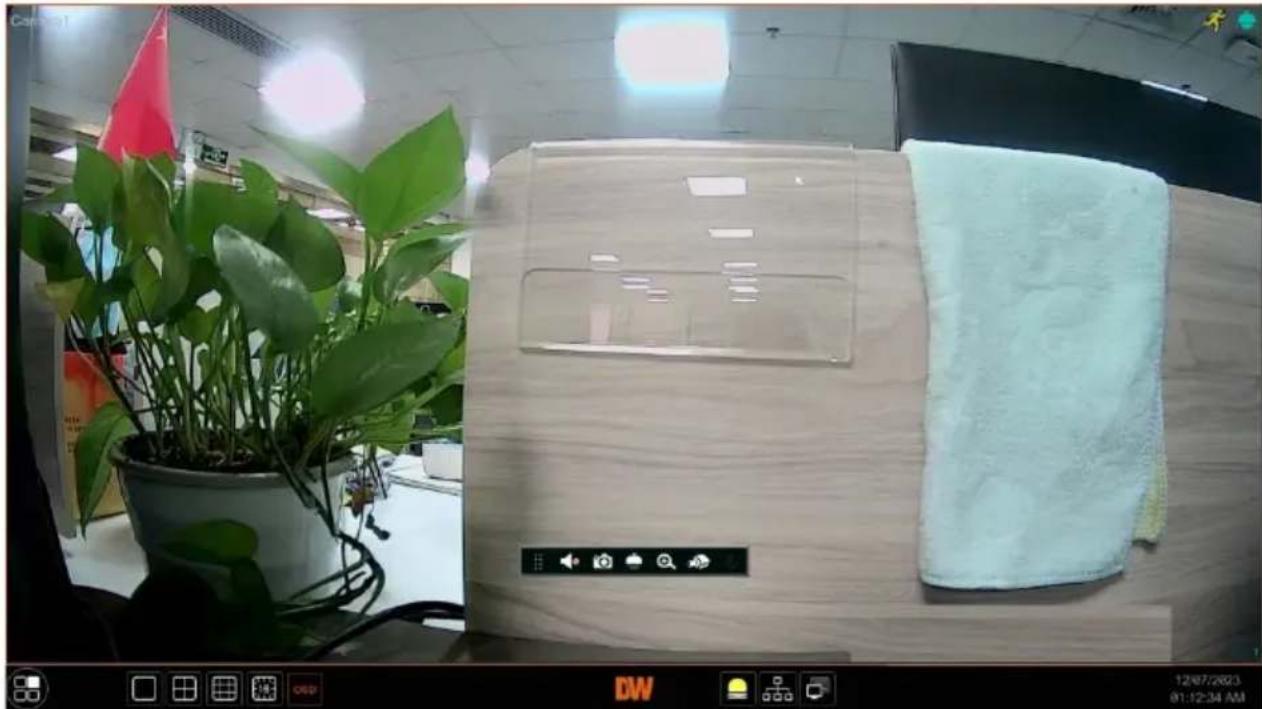 Digital Watchdog DW-ENC4K16 - Live View Interface Introduction - 8