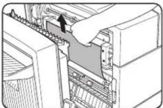 SHARP MX-M450N - Remove the misfed paper. - 1