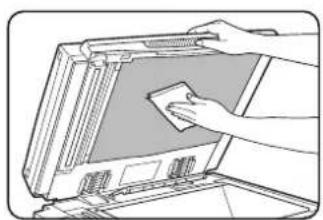 SHARP MX-M450N - Cleaning the document glass and the automatic document feeder - 2