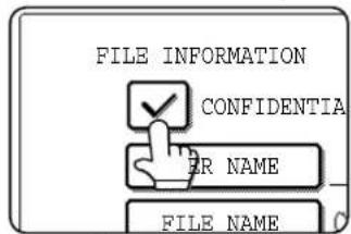 FILE INFORMATION CONFIDENTIA ER NAME FILE NAME