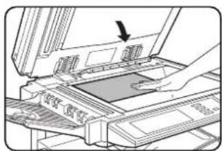SHARP MX-M450N - Automatic two-sided copying from the document glass - 2