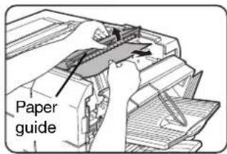 Paper guide