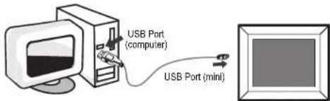 USB Port (computer) USB Port (mini)