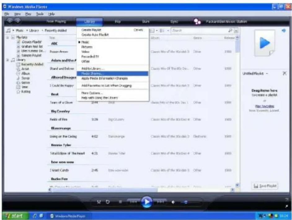 Grace Digital Audio Tuner GDI-IRDT200 - Step 1: Set Up Media Sharing In Windows Media Player 11 - 1