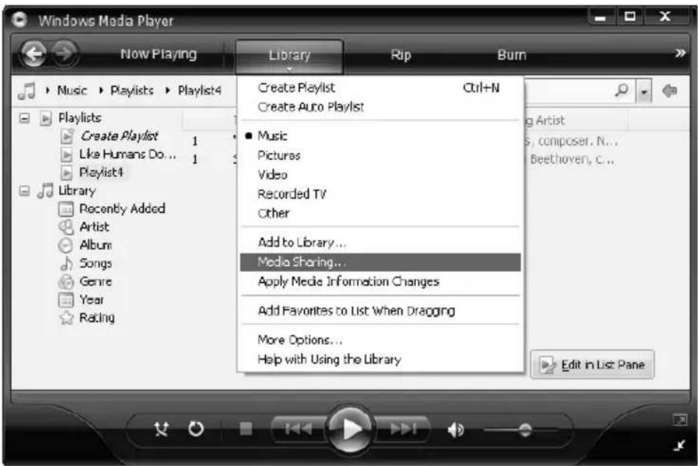 Grace Digital Audio Tuner GDI-IRDT200 - Set up a Windows PC to allow the tuner to access your audio files via a UPnP server - 1
