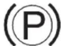 Buick Regal (2011) - ElectricParkingBrake Light - 1