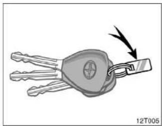 Illustration of a key being inserted into a car key (no text or symbols present)