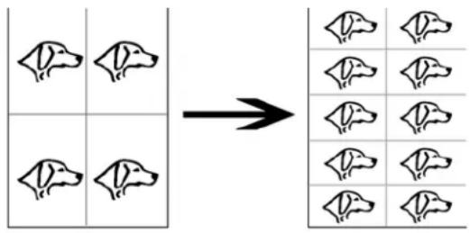 Diagram showing a 2x2 grid of dog silhouettes transforming into a 3x3 grid of silhouettes, with an arrow indicating the transformation.