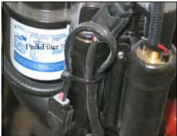 Fuel Filter
