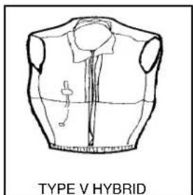 TYPE V HYBRID