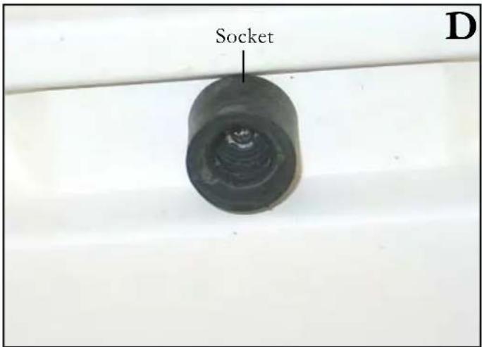 Socket D