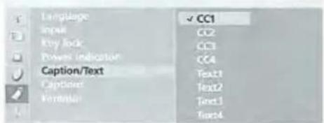 Language Input Key key Power indicator Caption/Text Captiles Formular CC1 CC2 CC3 CC4 Text1 Text2 Text3 Text4