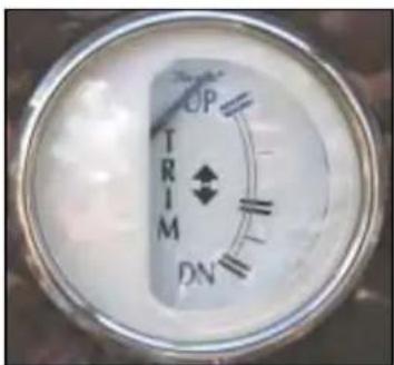 Regal 3760 - Volt Meter - 2