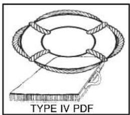 TYPE IV PDF