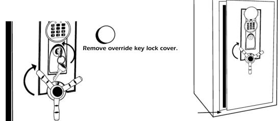 Remove override key lock cover.