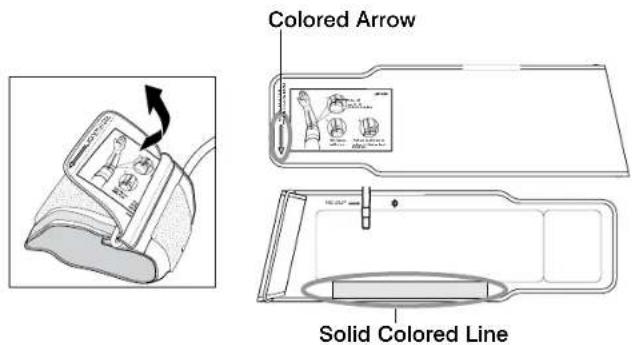 Colored Arrow Solid Colored Line