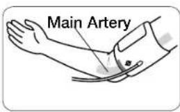 Main Artery