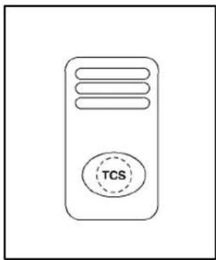 TCS