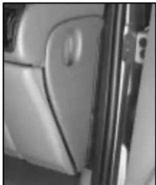 Close-up of a car door and side panel showing white leather trim and a circular button (no text or symbols visible)