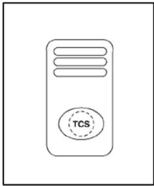 TCS