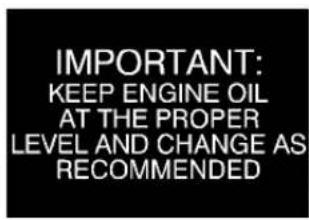 IMPORTANT: KEEP ENGINE OIL AT THE PROPER LEVEL AND CHANGE AS RECOMMENDED