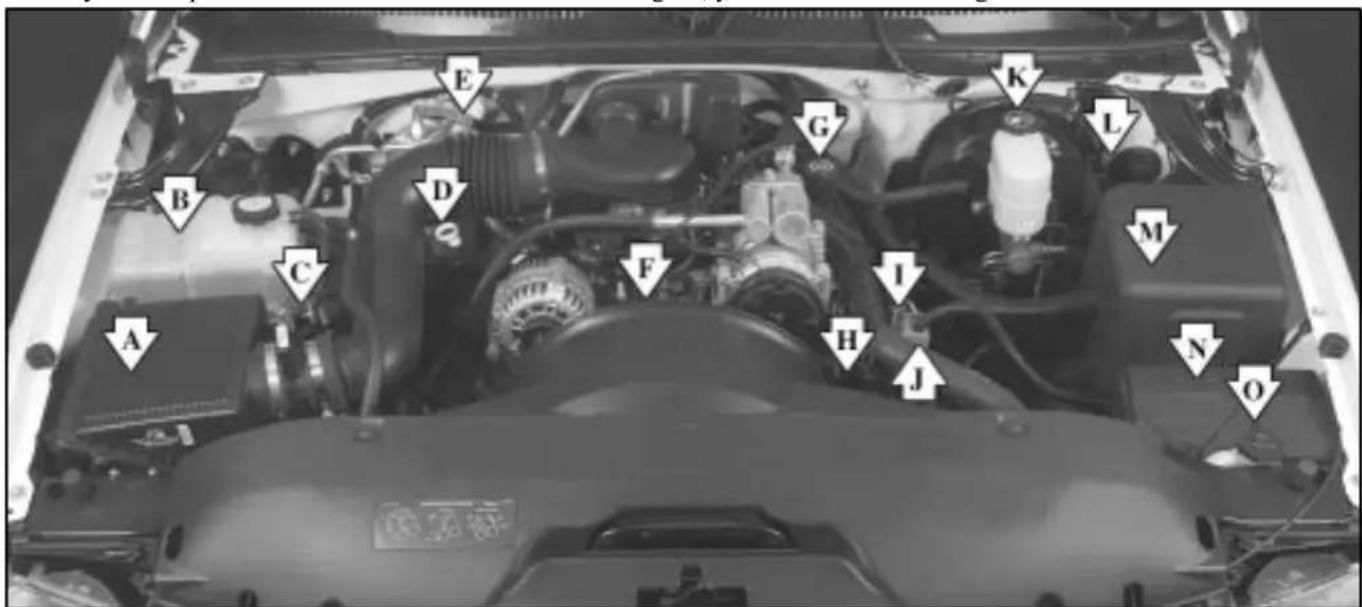 Labeled diagram of a car engine bay with numbered components for identification