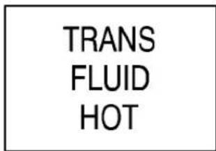 TRANS FLUID HOT