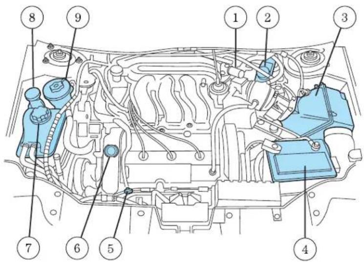 Labeled diagram of a car engine bay with numbered parts for identification