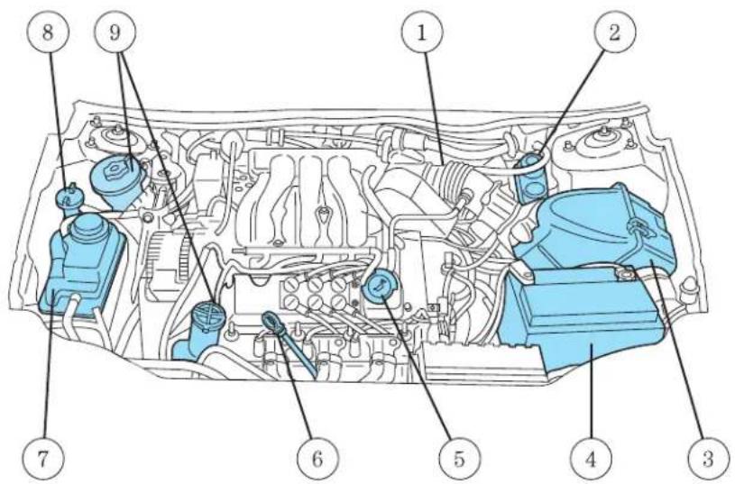 Labeled diagram of a car engine bay with numbered parts for identification