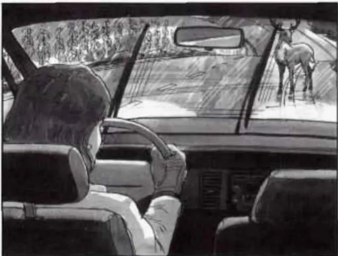 Black-and-white illustration of a person driving a car with a deer on the windshield (no text or symbols visible)