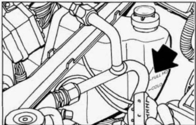 FULL NO -COLOR