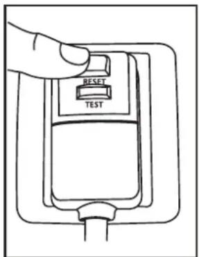 RESET TEST