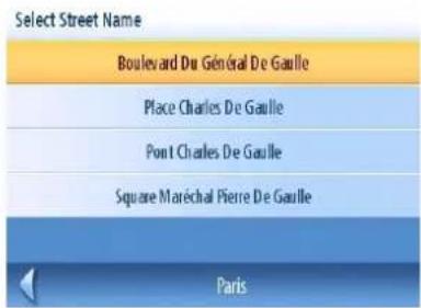 Select Street Name Boulevard Du Général De Gaulle Place Charles De Gaulle Pont Charles De Gaulle Square Marechal Pierre De Gaulle Paris