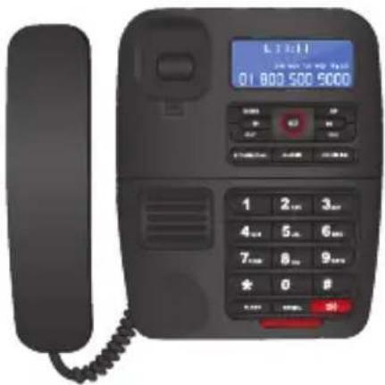 01 800 500 5000