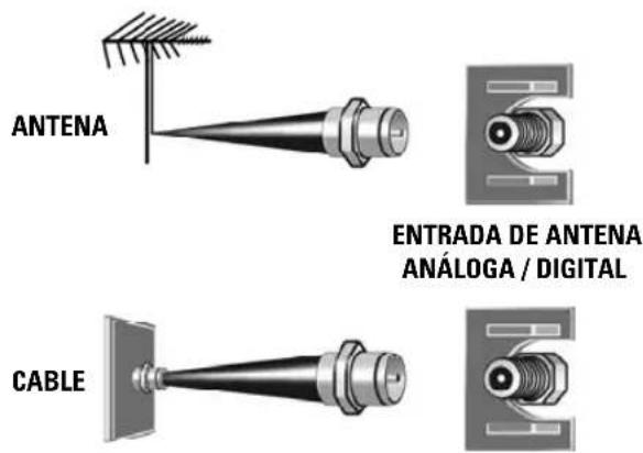 ANTENA ENTRADA DE ANTENA ANÁLOGA / DIGITAL CABLE