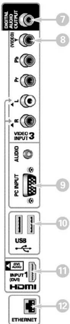 DIGITAL AUDIO OUTPUT 7 8 VIDEO (VIDEO) Y Pr Pb Video INPUT 3 R L AUDIO PC INPUT USB 10 11 DVI AUDIO INPUT 1 (DVI) HDMI 12 ETHERNET