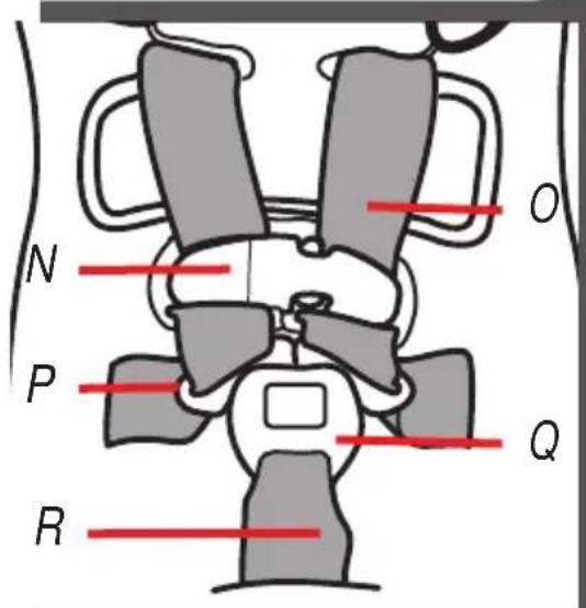 GRACO FastAction Fold Travel System - ¡ADVERTENCIA! - 6