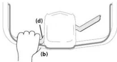 (d) (b)