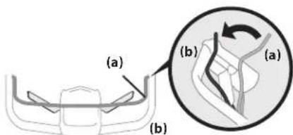 (a) (b) (a) (b)